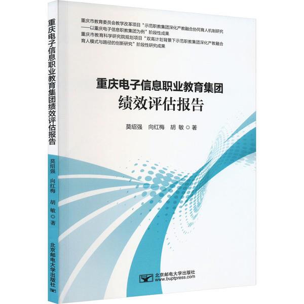 重庆电子信息职业教育集团绩效评估报告
