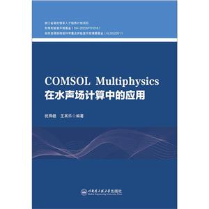 COMSOL MULTIPHYSICSˮеӦ