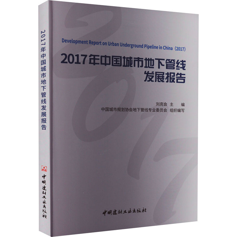 2017年中国城市地下管线发展报告