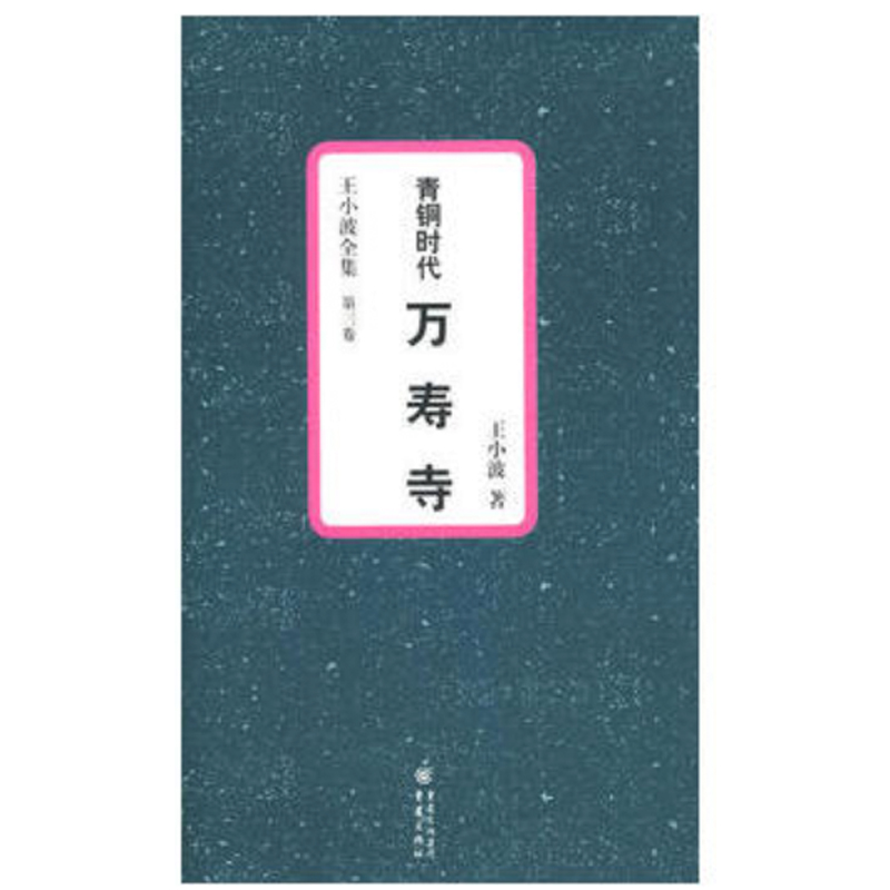 青铜时代·万寿寺 精装王小波经典文学作品穿越唐代长篇小说中国历史和性格的独特见解