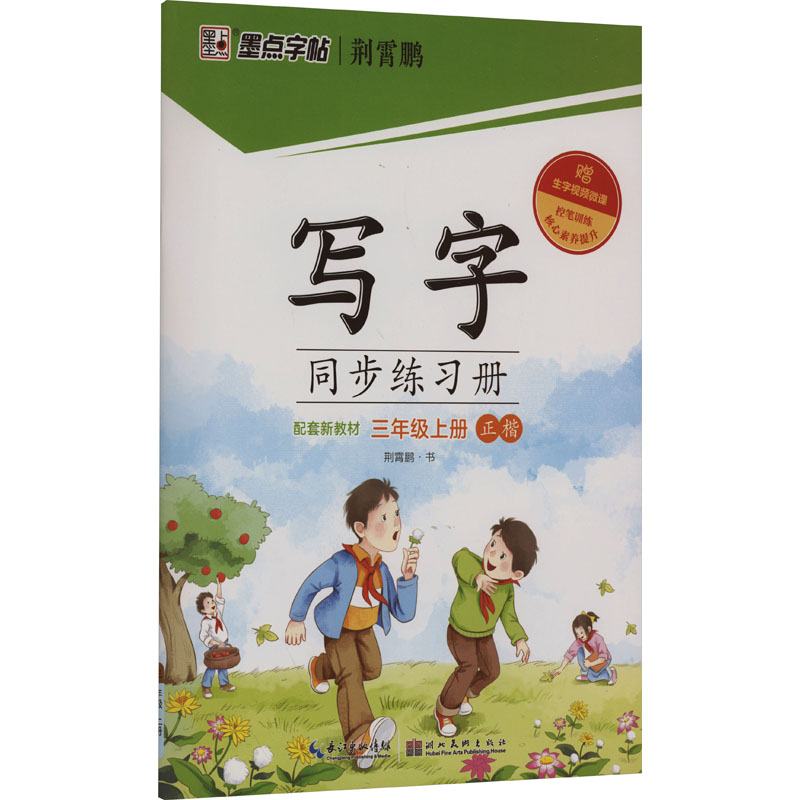 写字同步练习册 3年级上册