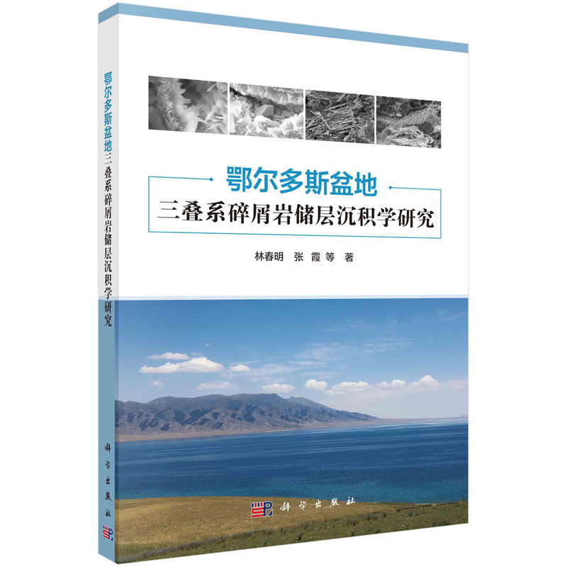 鄂尔多斯盆地三叠系碎屑岩储层沉积学研究