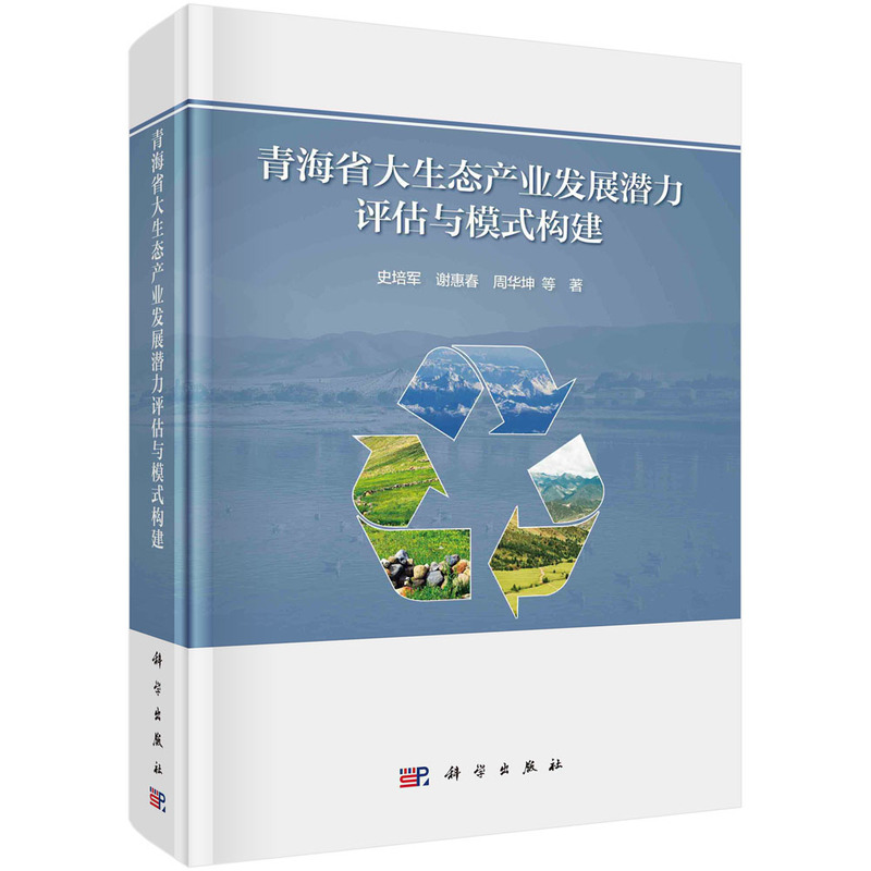 青海省大生态产业发展潜力评估与模式构建