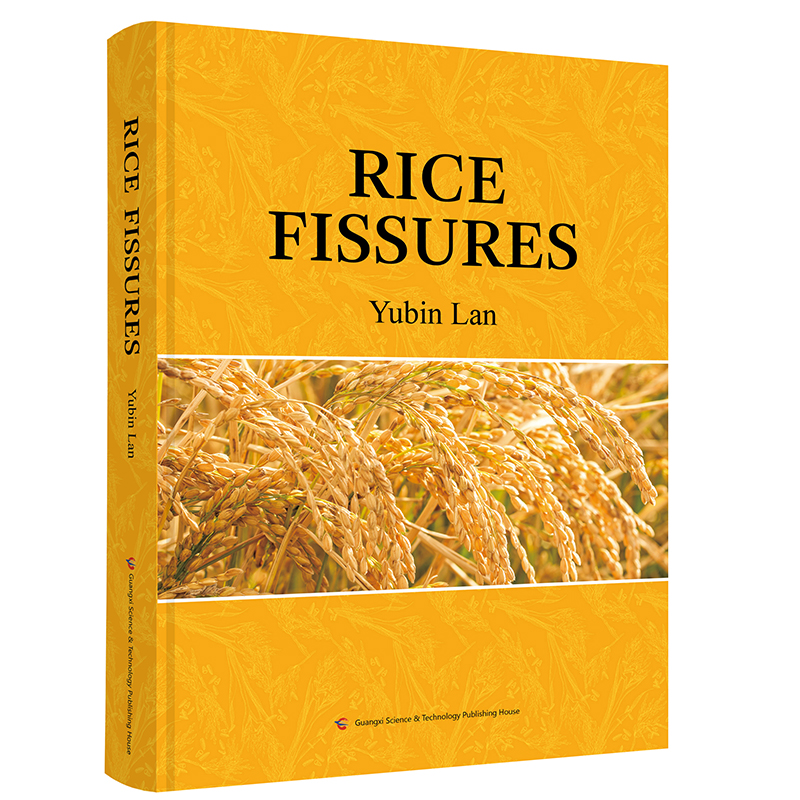 水稻裂纹-RICE  FISSURES英文版