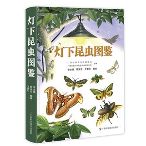 燈下昆蟲(chóng)圖鑒