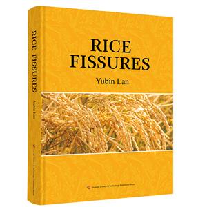 ˮ-RICE  FISSURESӢİ