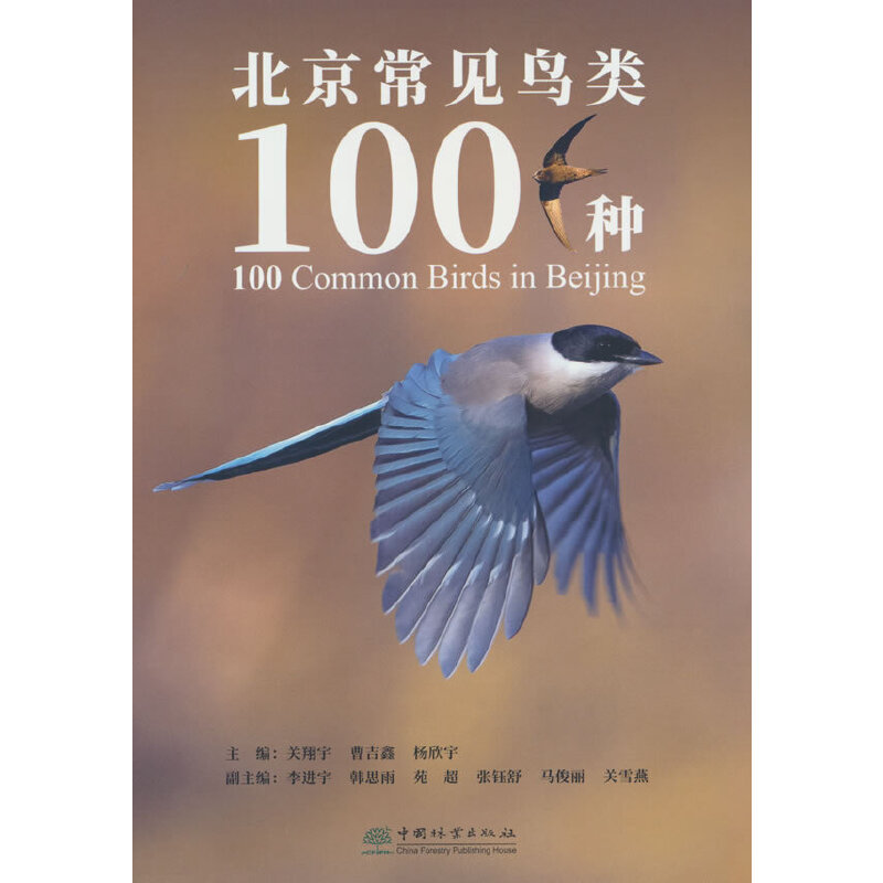 北京常见鸟类100种