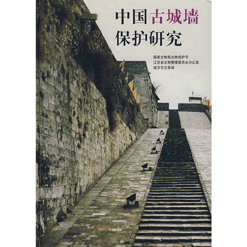 中国古城墙保护研究(精装)