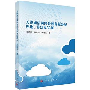 無線通信網(wǎng)絡(luò)魯棒資源分配理論、算法及實現(xiàn)