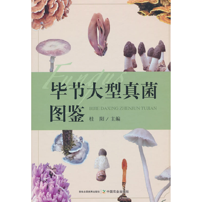 毕节大型真菌图鉴