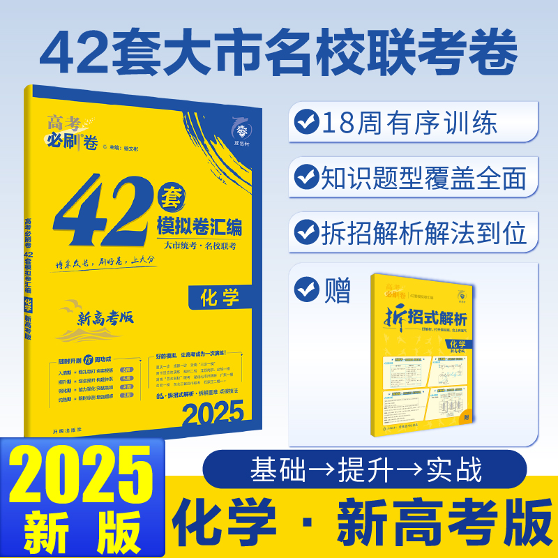 2025高考必刷卷 42套 化学 新高考版