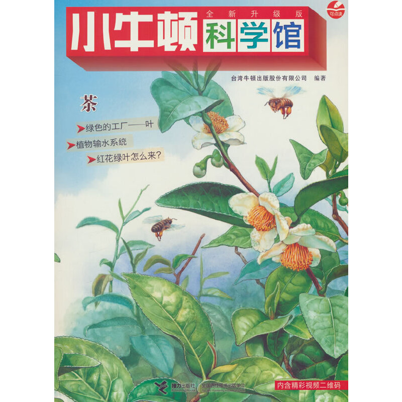 小牛顿科学馆(全新升级版):茶(彩图版)