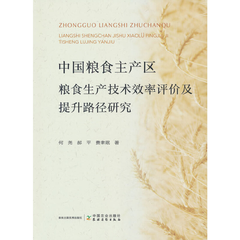 中国粮食主产区粮食生产技术效率评价及提升路径研究