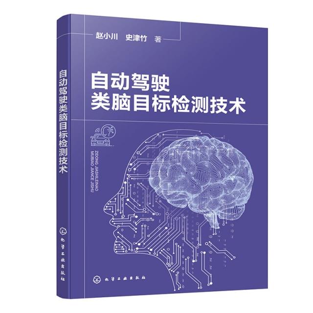 自动驾驶类脑目标检测技术