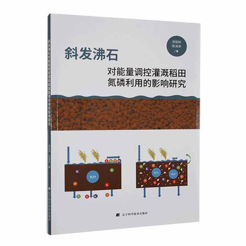 斜发沸石对能量调控灌溉稻田氮磷利用的影响研究