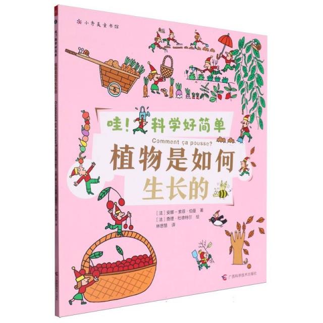 植物是如何生长的