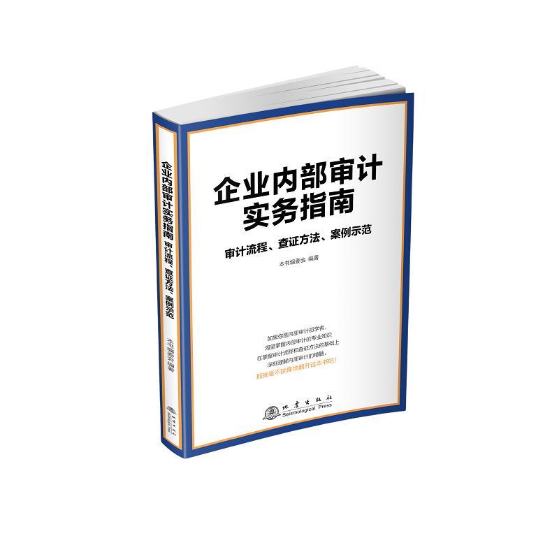 企业内部审计实务指南:审计流程、查证方法、案例示范