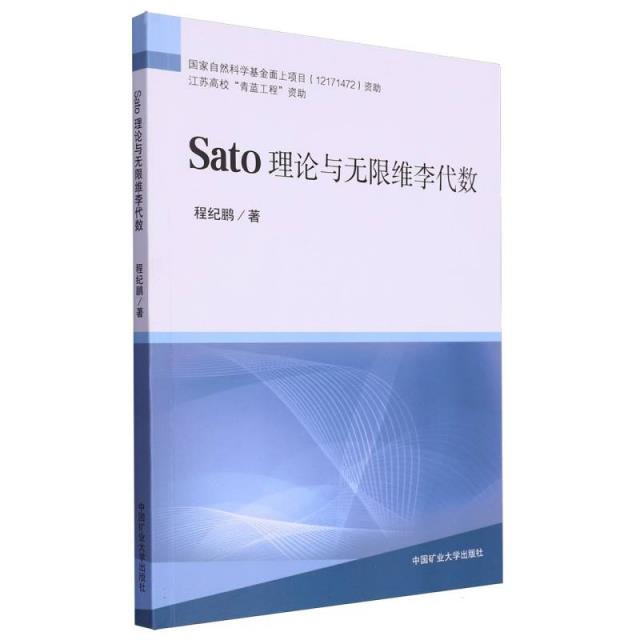 Sato理论与无限维李代数