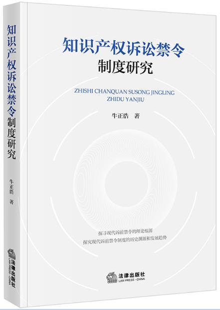 知识产权诉讼禁令制度研究