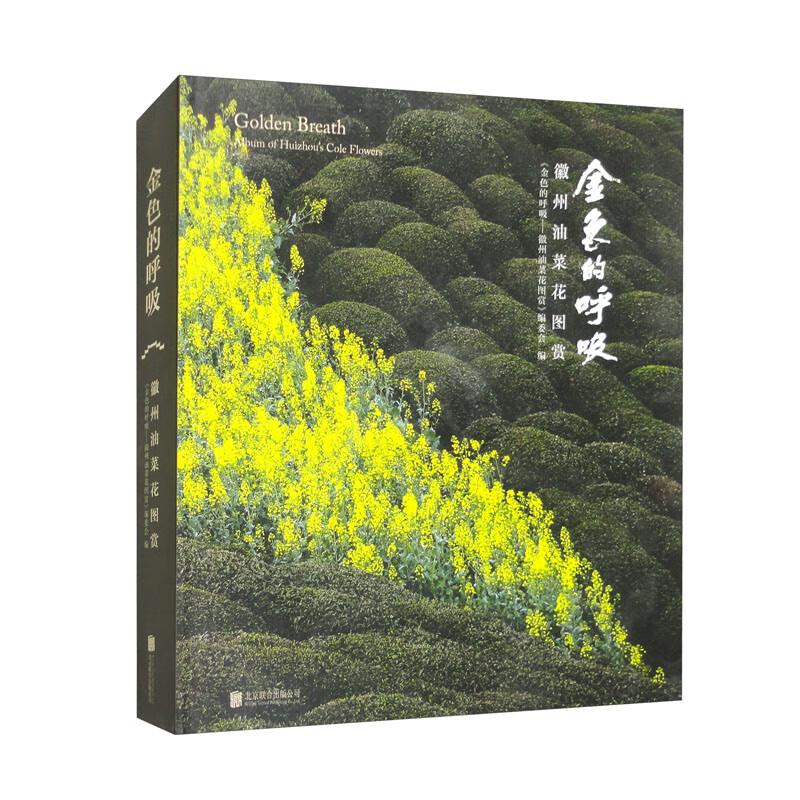 金色的呼吸:徽州油菜花图赏:album of Huizhous cole flowers