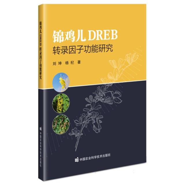 锦鸡儿DREB转录因子功能研究