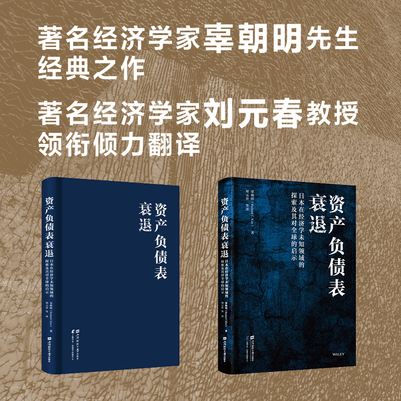 资产负债表衰退:日本在经济学未知领域的探索及其对全球的启示