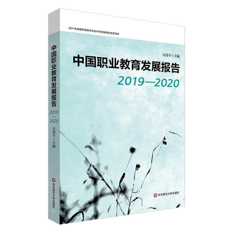 中国职业教育发展报告2019-2020