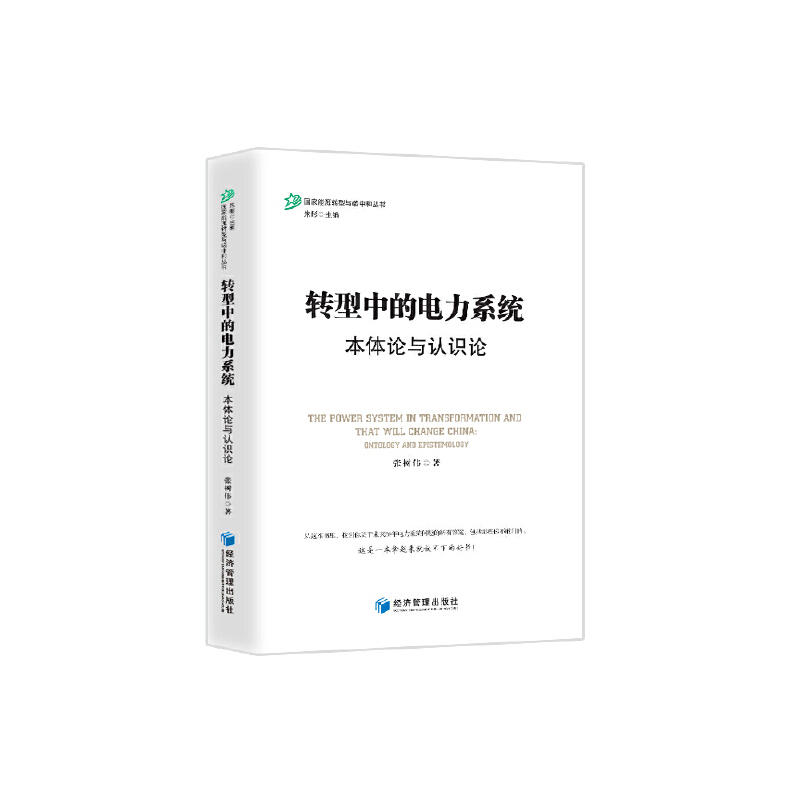 转型中的电力系统--本体论与认识论