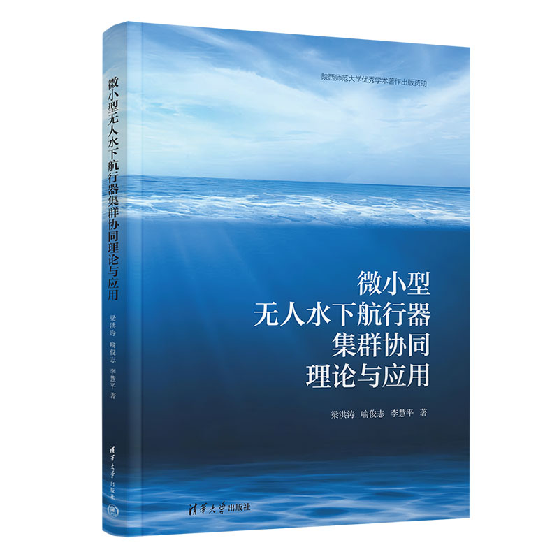 微小型无人水下航行器集群协同理论与应用