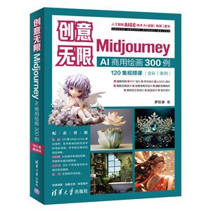 :MIDJOURNEY AIû滭300(120Ƶ)