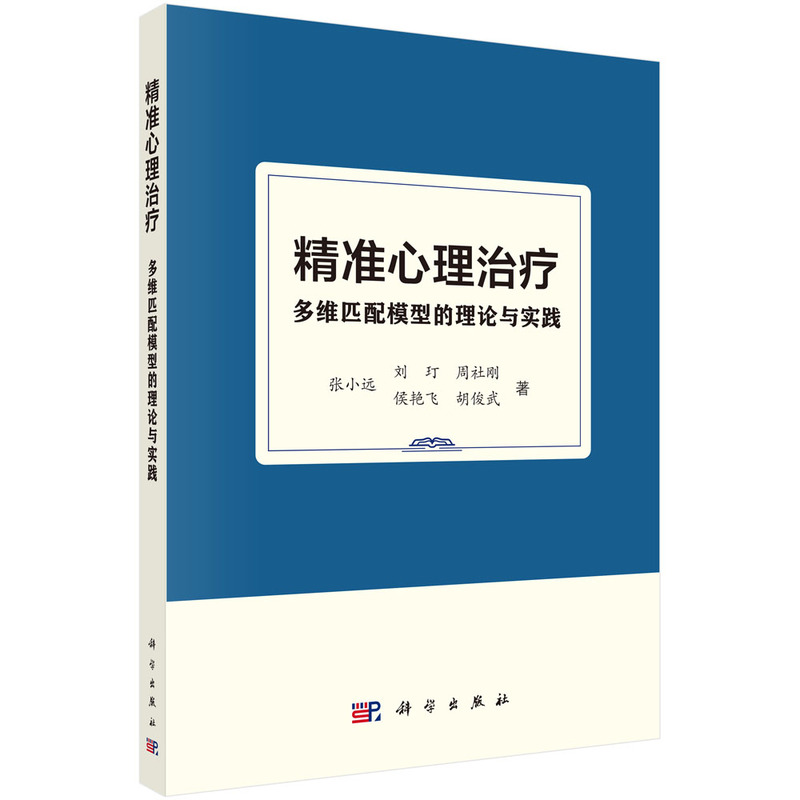 精准心理治疗 多维匹配模型的理论与实践