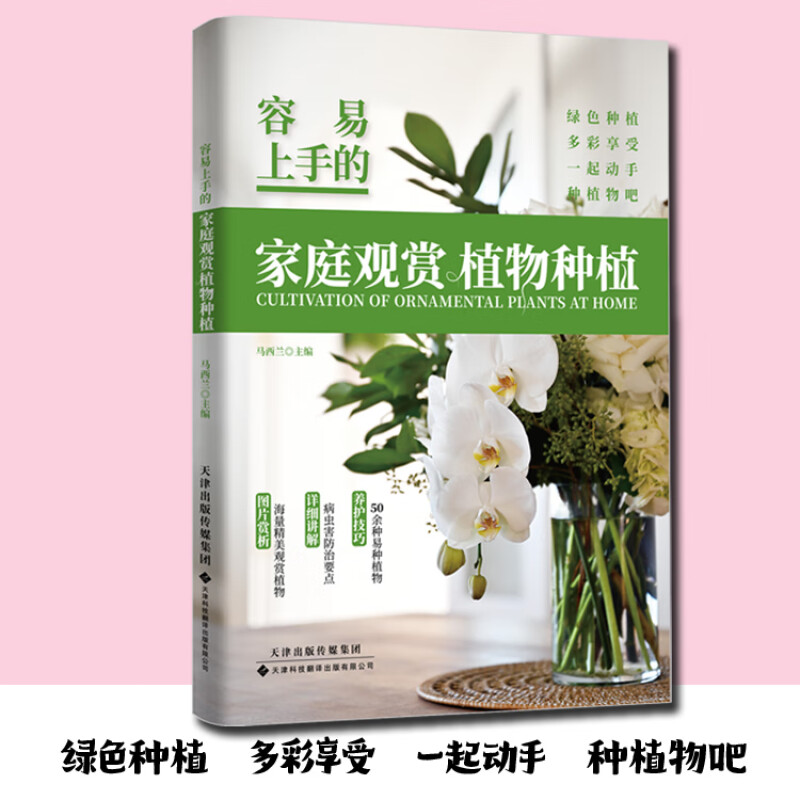 容易上手的家庭观赏植物种植