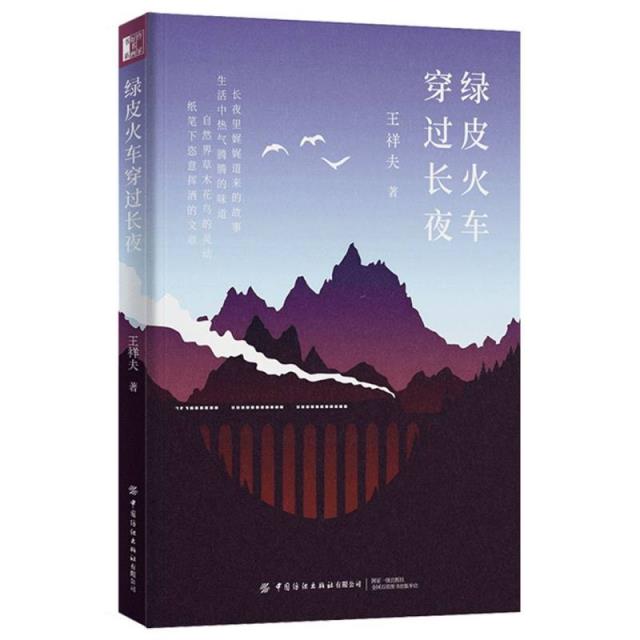 绿皮火车穿过长夜