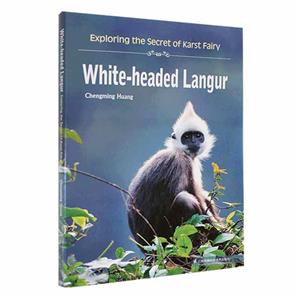 White-headed Langur:exploring the secret of Karst Fairy