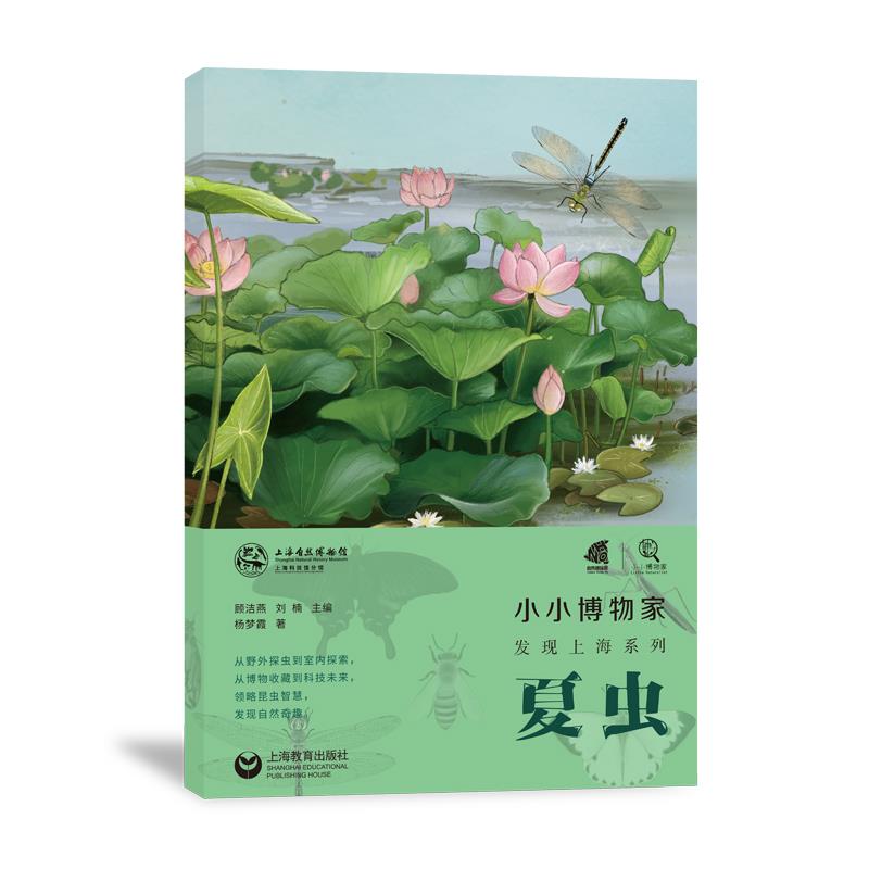 小小博物家发现上海系列:夏虫