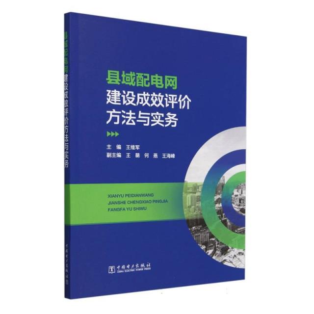 县域配电网建设成效评价方法与实务