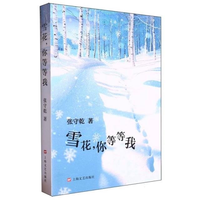 雪花,你等等我