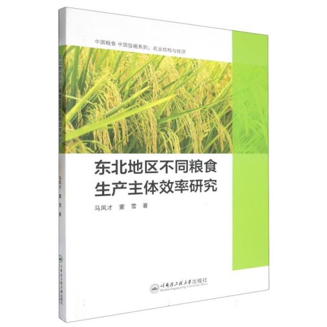 东北地区不同粮食生产主体效率研究