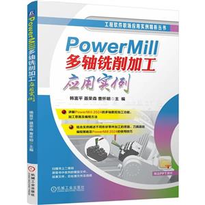 POWERMILL ϳӹӦʵ