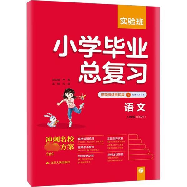 实验班小学毕业总复习 语文(RMJY) 视频精讲提优版