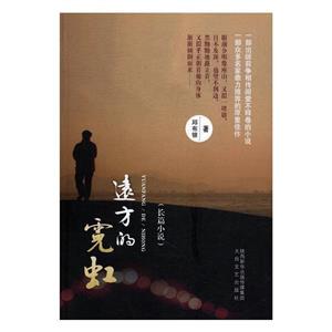 長(zhǎng)篇小說(shuō)-遠(yuǎn)方的霓虹