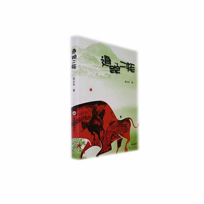 追踪二耗(儿童小说)