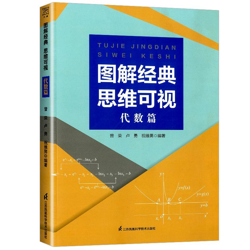 图解经典 思维可视:代数篇【高中教师代数课】