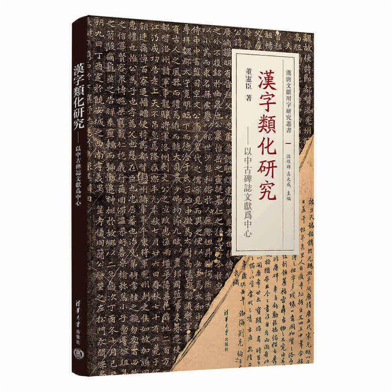 汉字类化研究——以中古碑志文献为中心