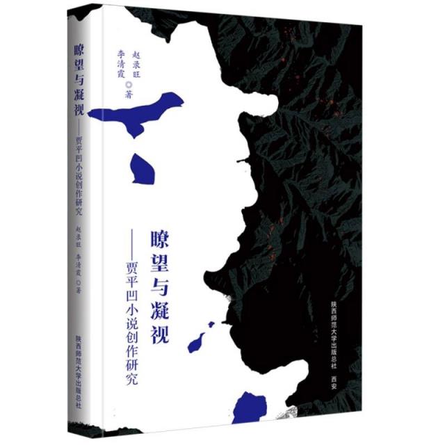 瞭望与凝视——贾平凹小说创作研究