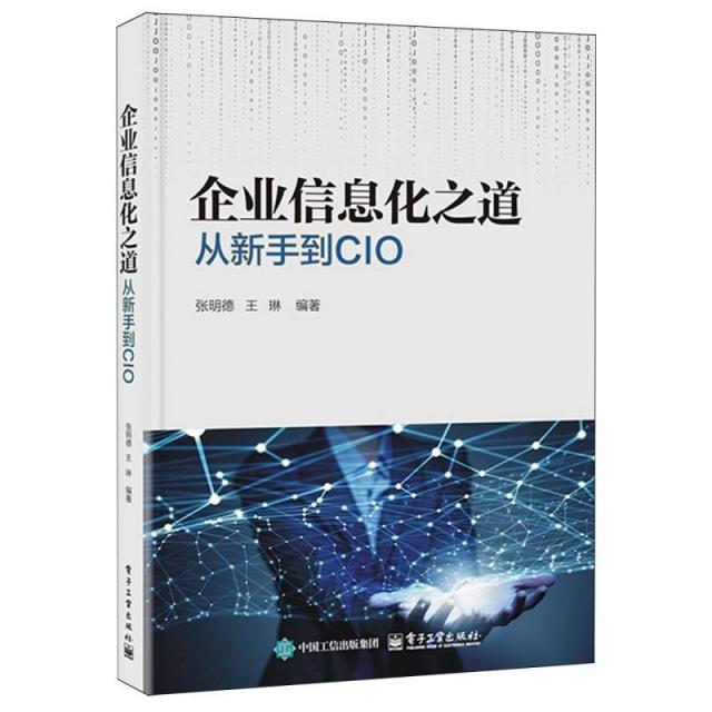 企业信息化之道:从新手到CIO