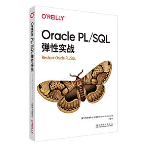 ORACLE PL/SQLԌ(zhn)