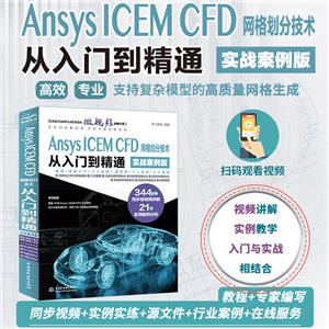 Ansys ICEM CFD 񻮷ּŵͨ(ʵս)