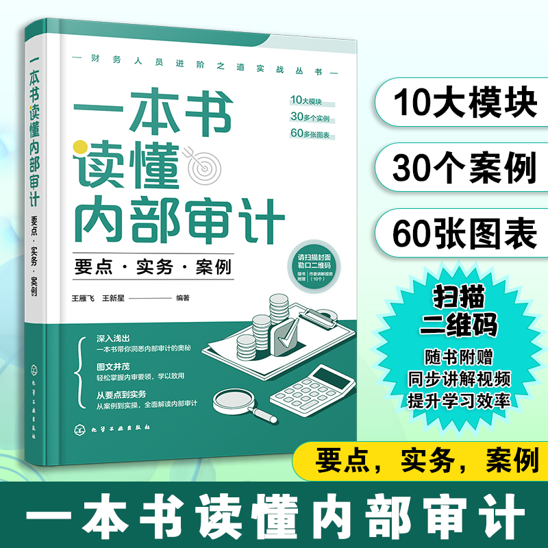 财务人员进阶之道实战丛书--一本书读懂内部审计:要点·实务·案例