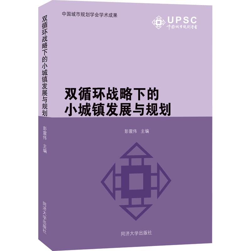 双循环战略下的小城镇发展与规划